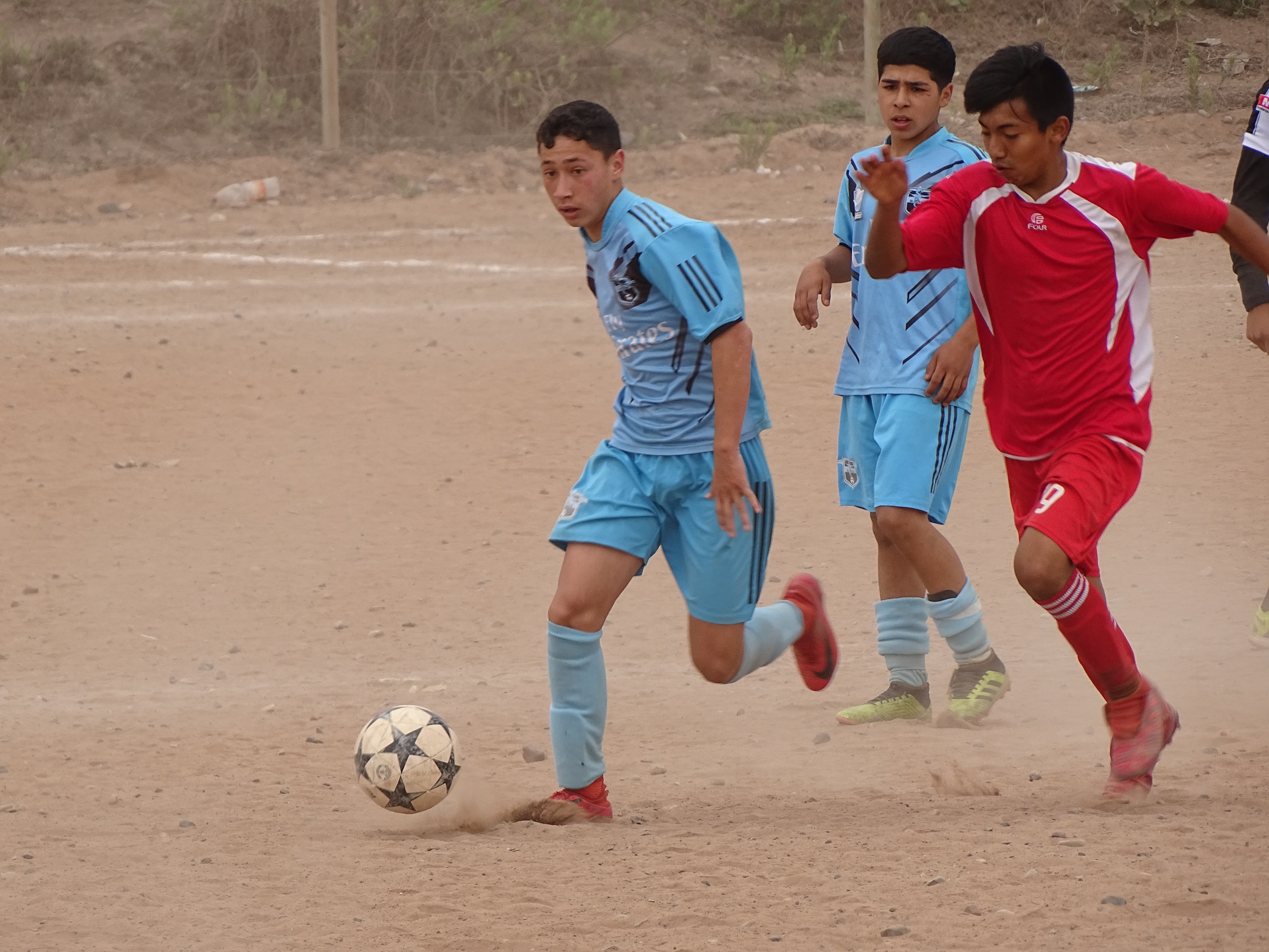 Campeonatos Liga Asociación Los Llanos (Chanchos League)