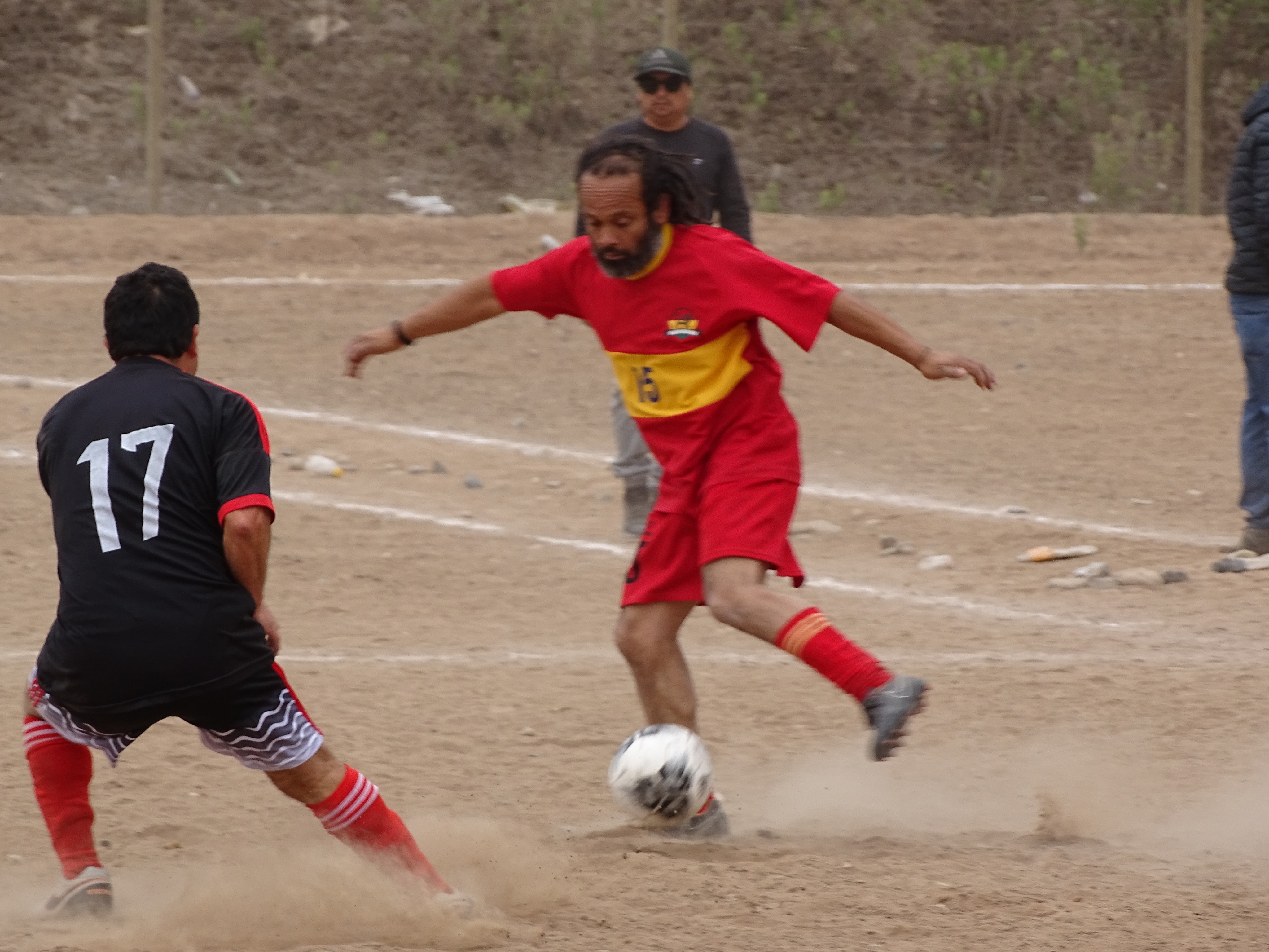 Campeonatos Liga Asociación Los Llanos (Chanchos League)