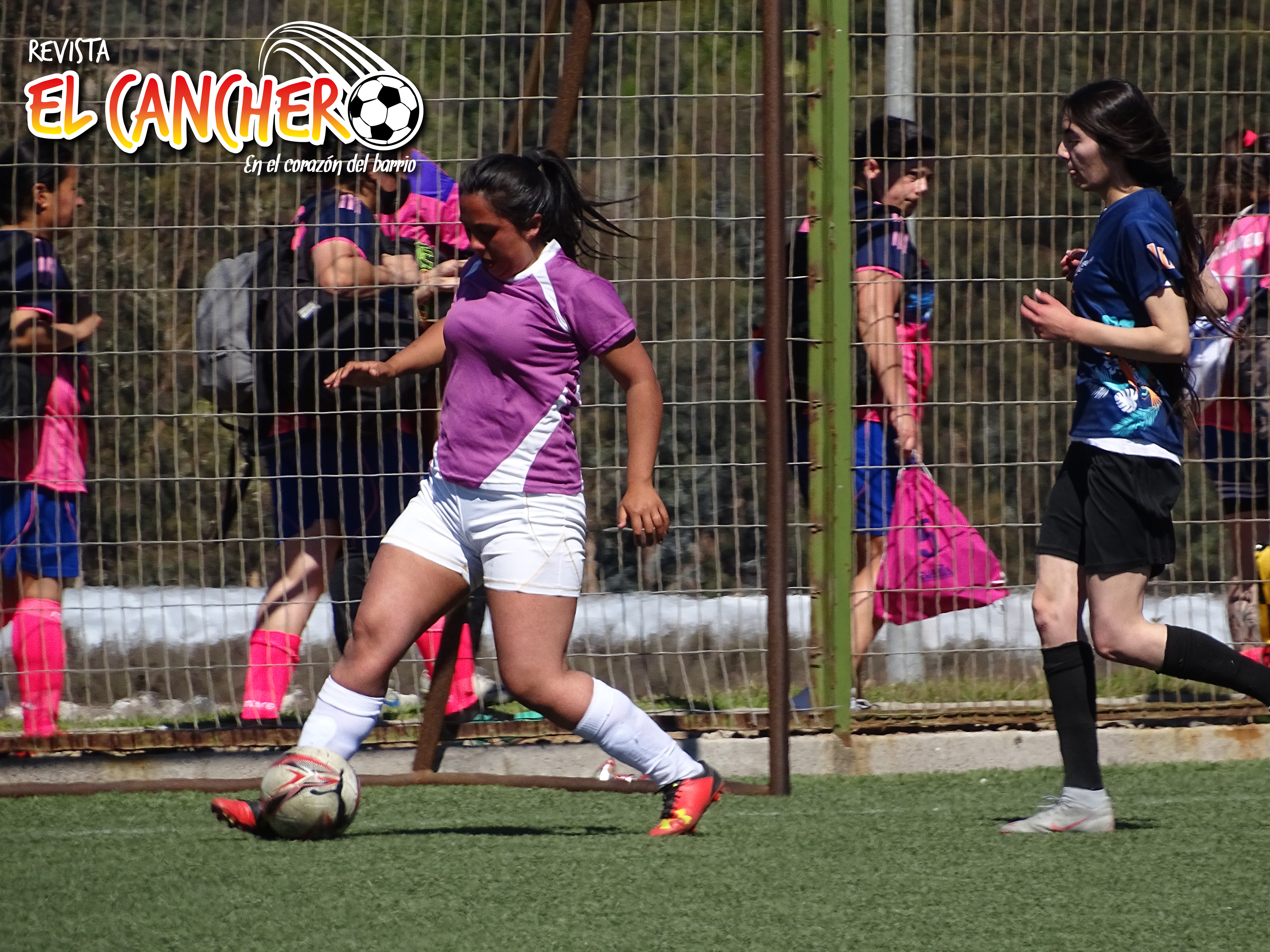 Campeonatos Liga Fútbol Femenino